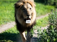 wwwcmtravelsch wwwcmtravelsch